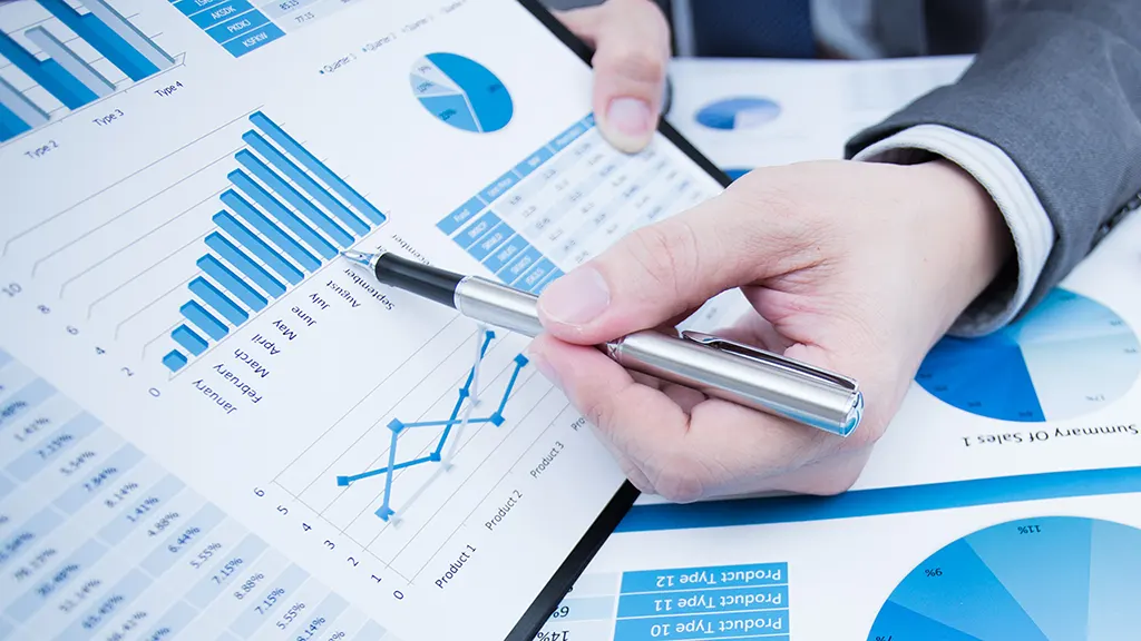 images/hizmetler/ufrs-ifrs.webp